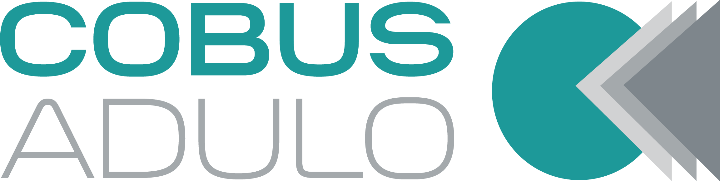 Cobus Adulo Logo – ERP-Schnittstelle für Fenster Aufmaß